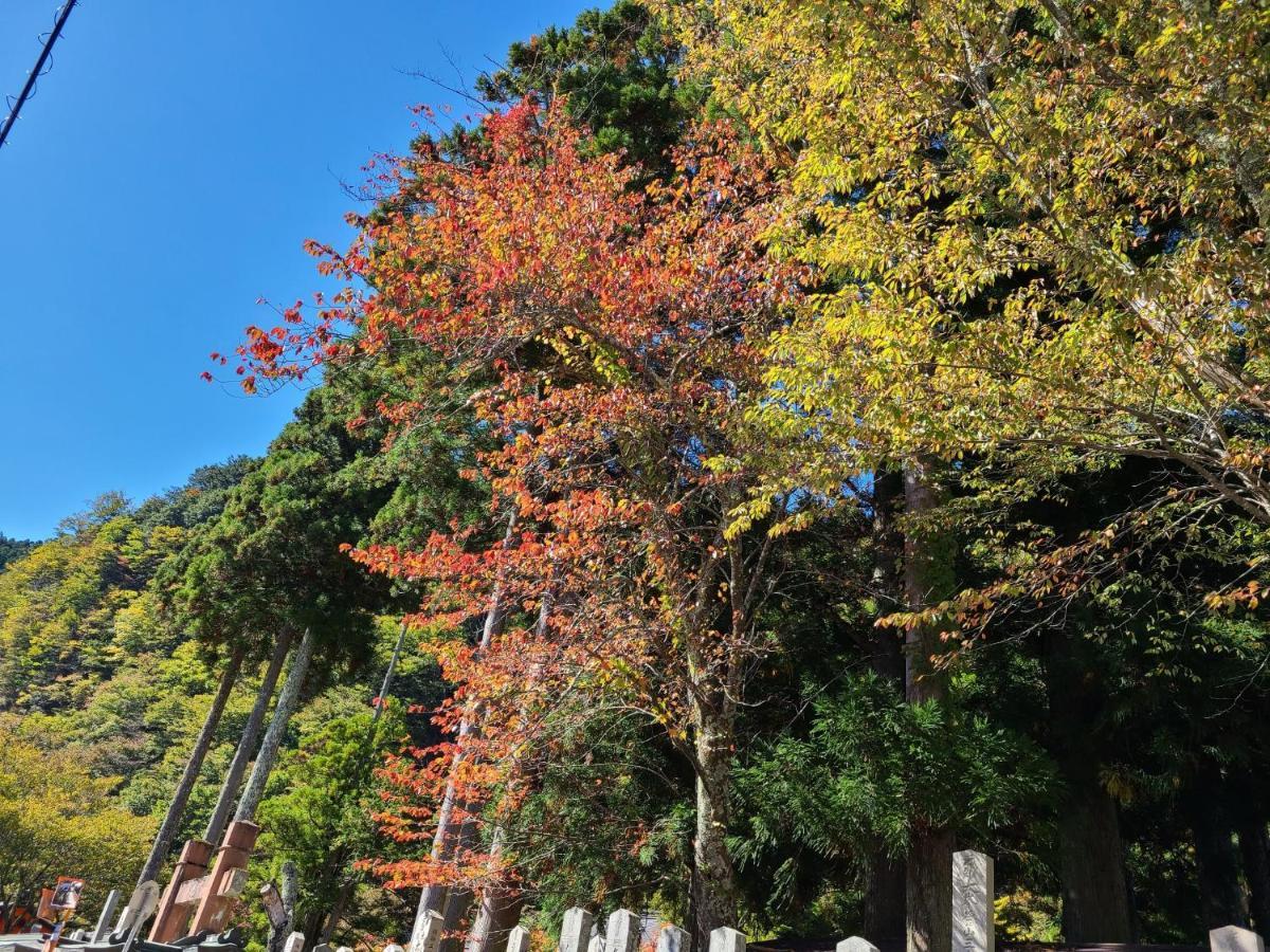 Ichimaru Ryokan - Vacation Stay 77851V Tenkawa Exterior foto